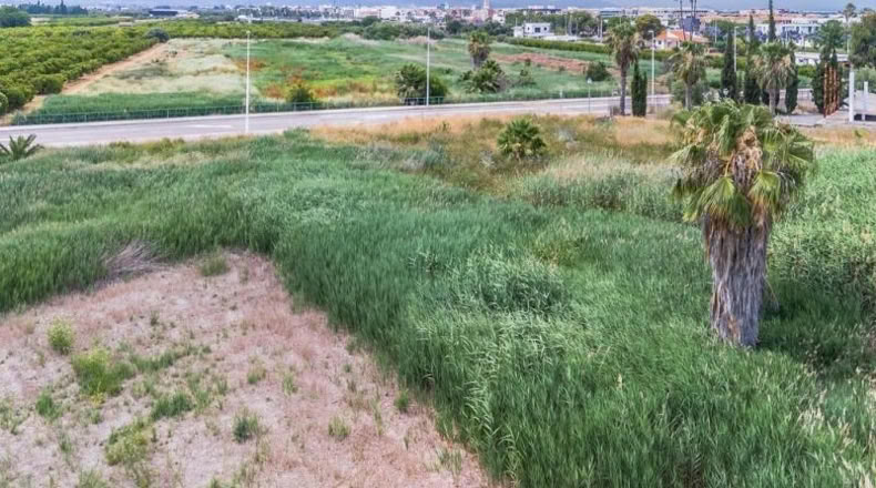 Castellón - Moncófar - 1051m2