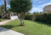 Chalet independiente con terreno en venta en la de Jerez, Campo-Mijas, ref: TR394013 foto