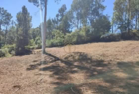 Tuy 1100&nbsp;m²