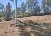 Terreno no urbanizable en venta en Tuy ref: TR393993 foto