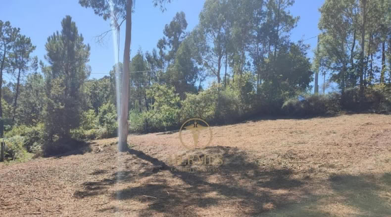 Pontevedra - O Matelo - 1100m2