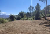 Terreno no urbanizable en venta en Tuy ref: TR393993 foto