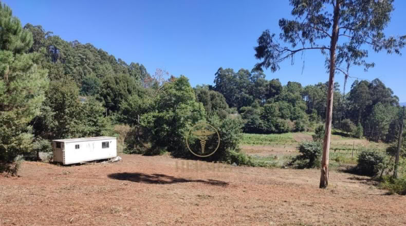 Pontevedra - O Matelo - 1100m2