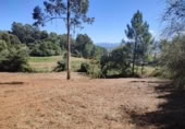 Terreno no urbanizable en venta en Tuy ref: TR393993 foto