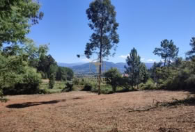 Tuy 1100&nbsp;m²
