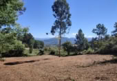Terreno no urbanizable en venta en Tuy ref: TR393993 foto