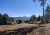 Terreno no urbanizable en venta en Tuy ref: TR393993 foto
