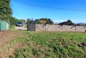Tuy 1992&nbsp;m²