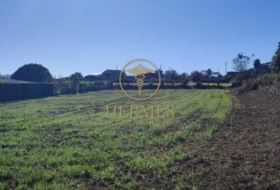Tuy 1992&nbsp;m²
