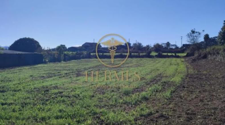 Pontevedra - Vilapouca - 1992m2