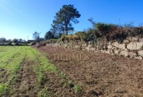 Tuy 1992&nbsp;m²