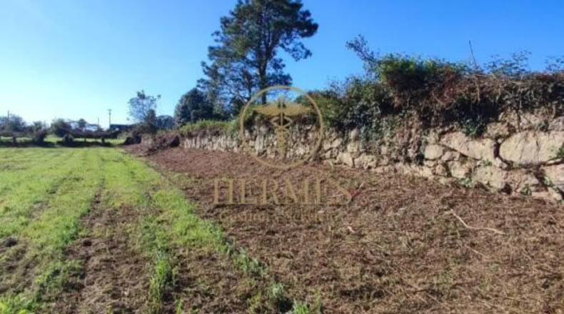 Pontevedra - Vilapouca - 1992m2