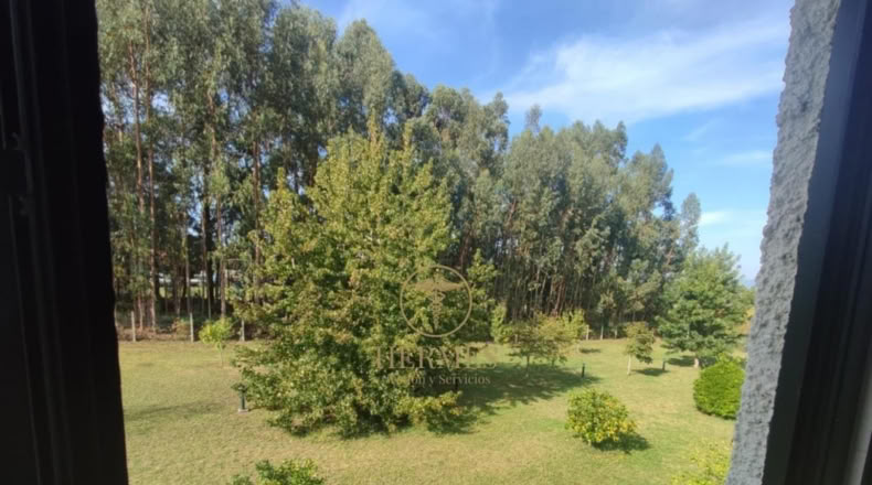 Pontevedra - Vilapouca - 5000m2