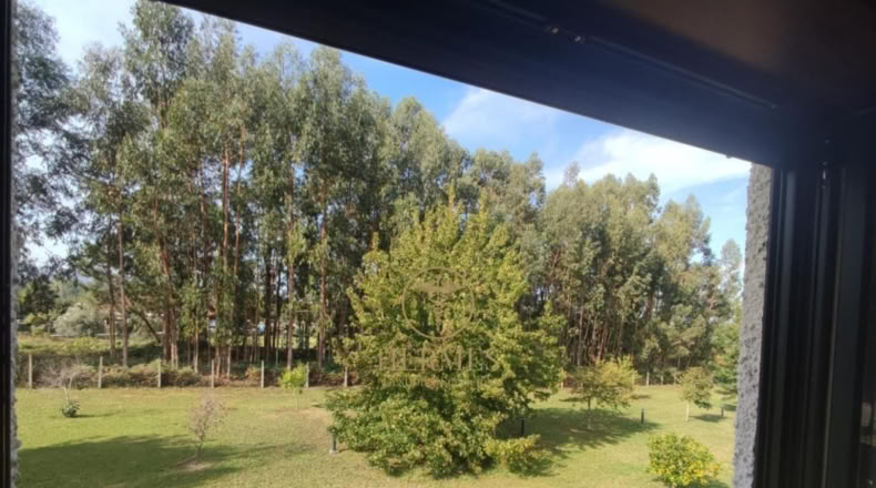Pontevedra - Vilapouca - 5000m2