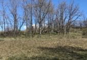 Terreno no urbanizable en venta en la M-629, Canencia, ref: TR109123 foto