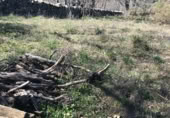 Terreno no urbanizable en venta en la M-629, Canencia, ref: TR109123 foto