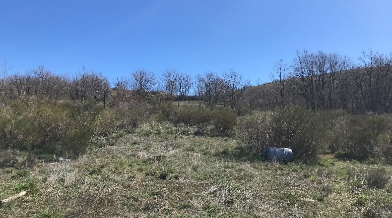 Comunidad de Madrid - Canencia - 30000m2