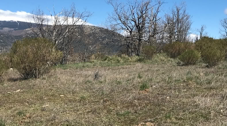 Comunidad de Madrid - Canencia - 30000m2
