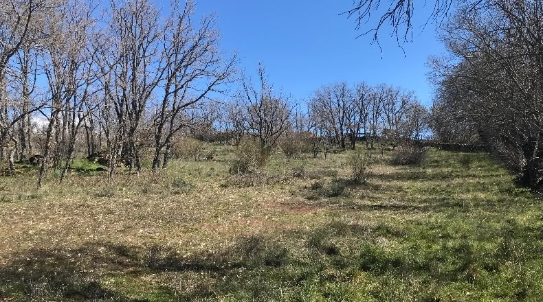 Comunidad de Madrid - Canencia - 30000m2