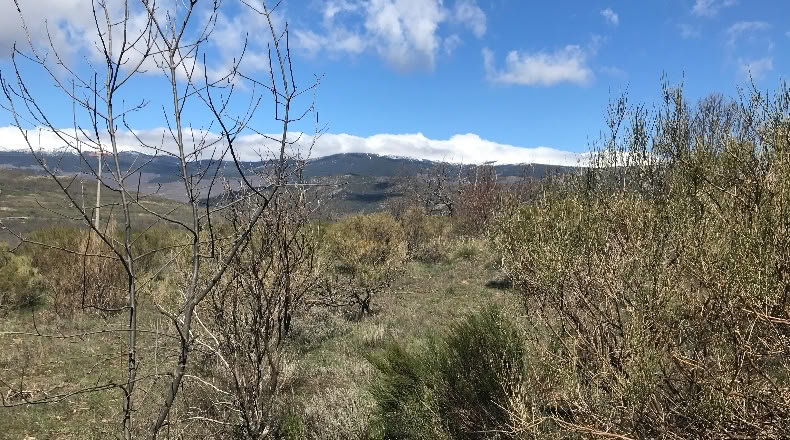 Comunidad de Madrid - Canencia - 30000m2