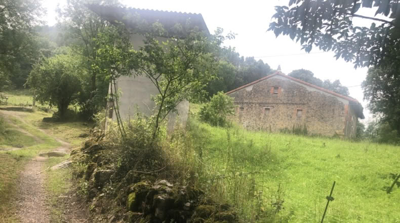 Cantabria - Hazas de Cesto - 2416m2