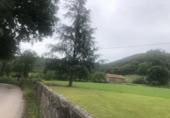 Chalet independiente con terreno en venta en Hazas de Cesto ref: TR394039 foto