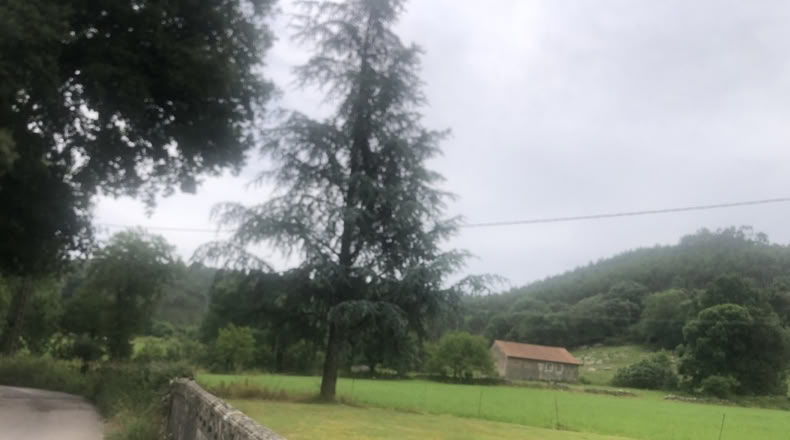 Cantabria - Hazas de Cesto - 2416m2