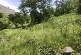 Mortesante 7691&nbsp;m²