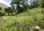 Detached villa with land for sale on Barrio Mortesante, Mortesante, ref: TR394037 photo