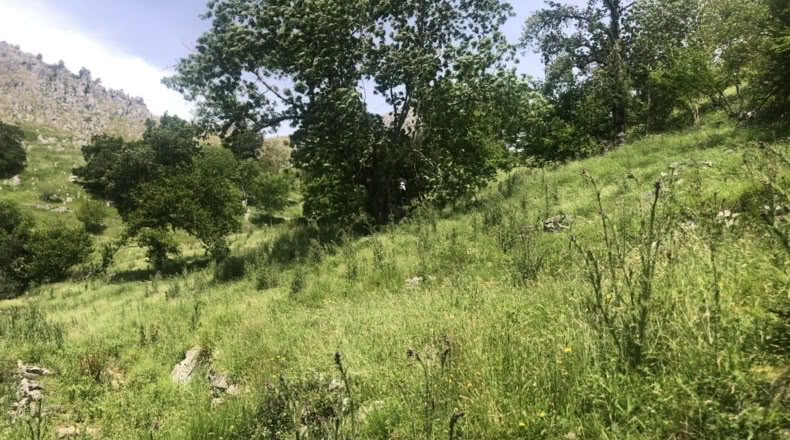 Cantabria - Mortesante - 7691m2