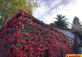 Casa de poble en venda a Santiurde de Toranzo ref.: TR394232 foto