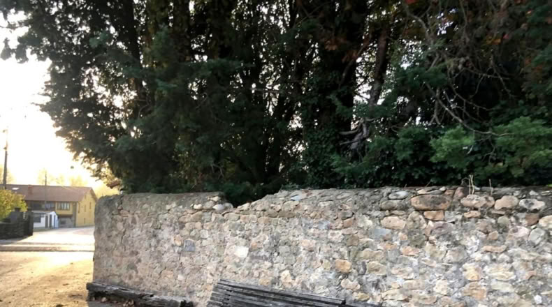 Cantabria - Santiurde de Toranzo - 1793m2