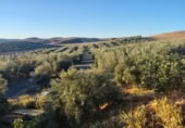Masia amb terreny en venda a Mollina ref.: TR394230 foto