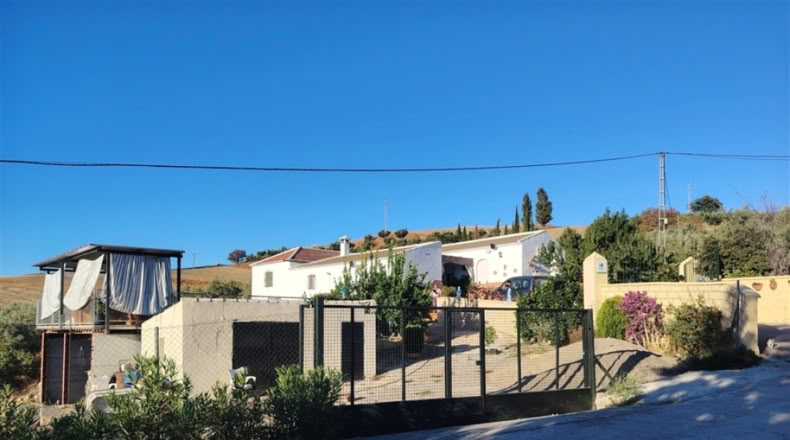 Málaga - Ронда - 37000m2