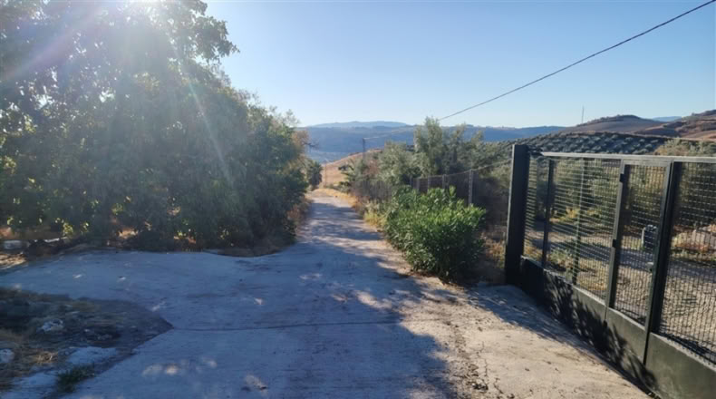 Málaga - Ронда - 37000m2