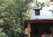 Фермерский дом с участком на продажу в городе Genalguacil. Фото