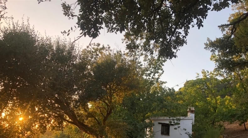 Málaga - Genalguacil - 26000m2