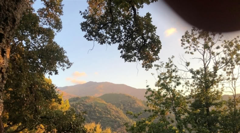 Málaga - Genalguacil - 26000m2