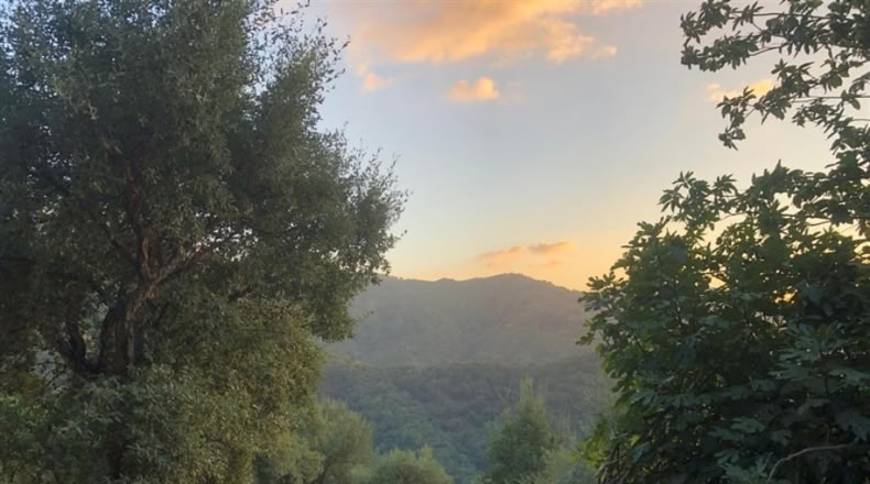 Málaga - Genalguacil - 26000m2