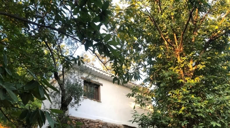 Málaga - Genalguacil - 26000m2
