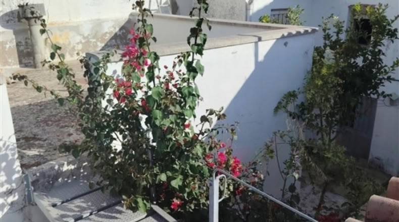 Málaga - Cortes de la Frontera - 200m2