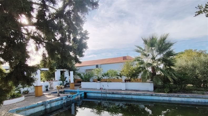 Cádiz - Puerto Serrano - 240000m2