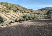 Masia amb terreny en venda a la Carretera de Puerto Serrano, Puerto Serrano, ref.: TR394225 foto