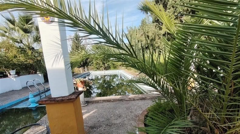 Cádiz - Puerto Serrano - 240000m2