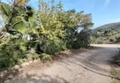 Masia amb terreny en venda a la Carretera de Puerto Serrano, Puerto Serrano, ref.: TR394225 foto