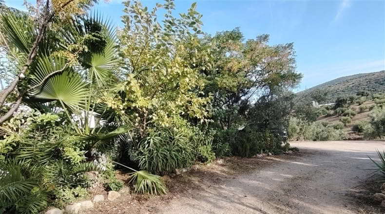Cádiz - Puerto Serrano - 240000m2