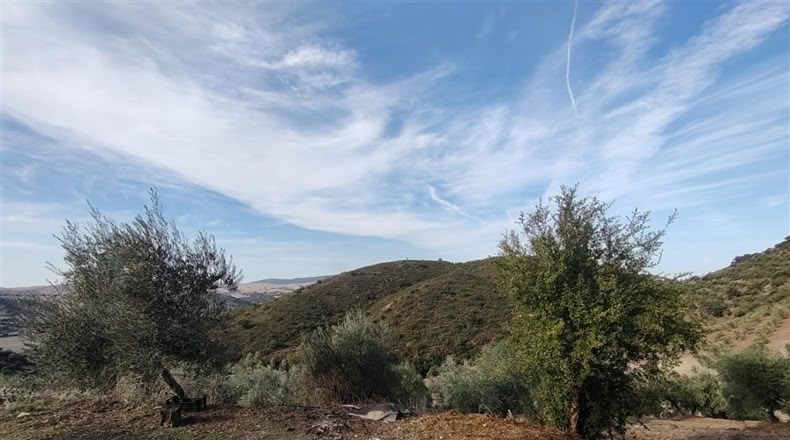 Cádiz - Puerto Serrano - 240000m2