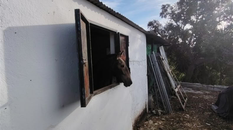 Cádiz - Puerto Serrano - 240000m2