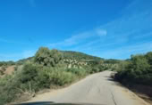 Masia amb terreny en venda a la Carretera de Puerto Serrano, Puerto Serrano, ref.: TR394225 foto