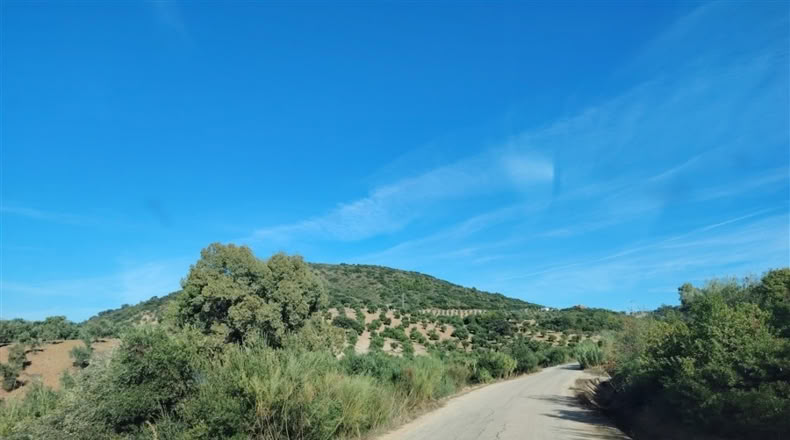 Cádiz - Puerto Serrano - 240000m2